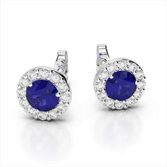 E899-25 GEM