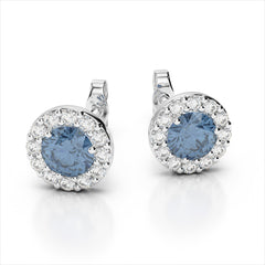 E899-25 GEM